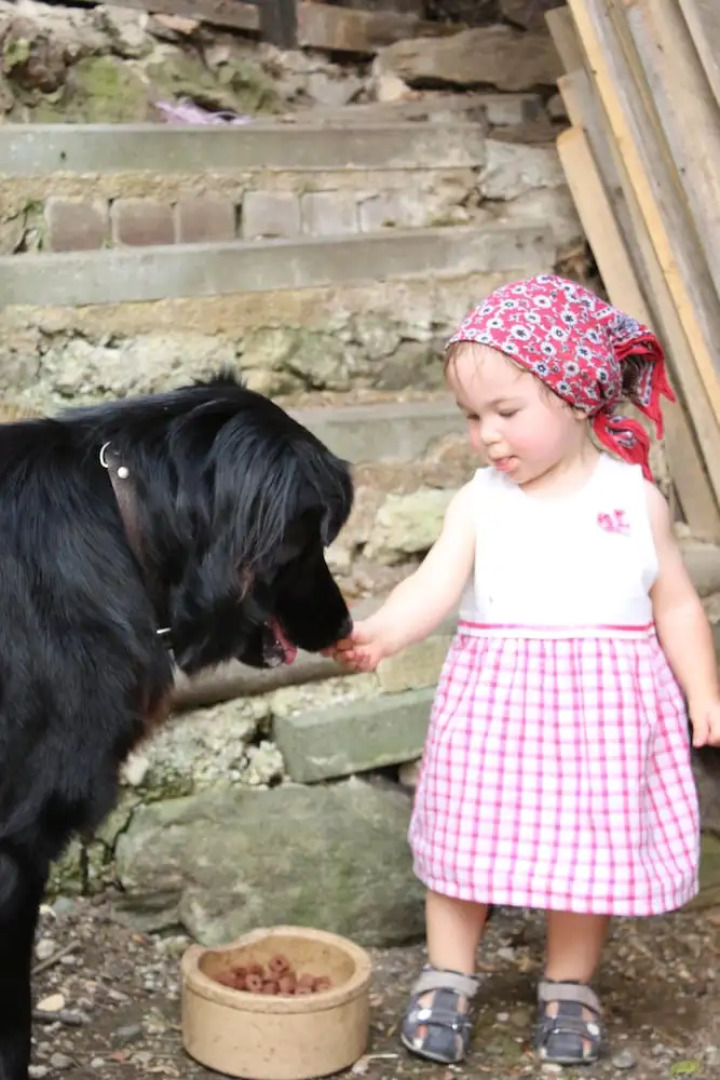 Cozy Apartment with Roof Terrace