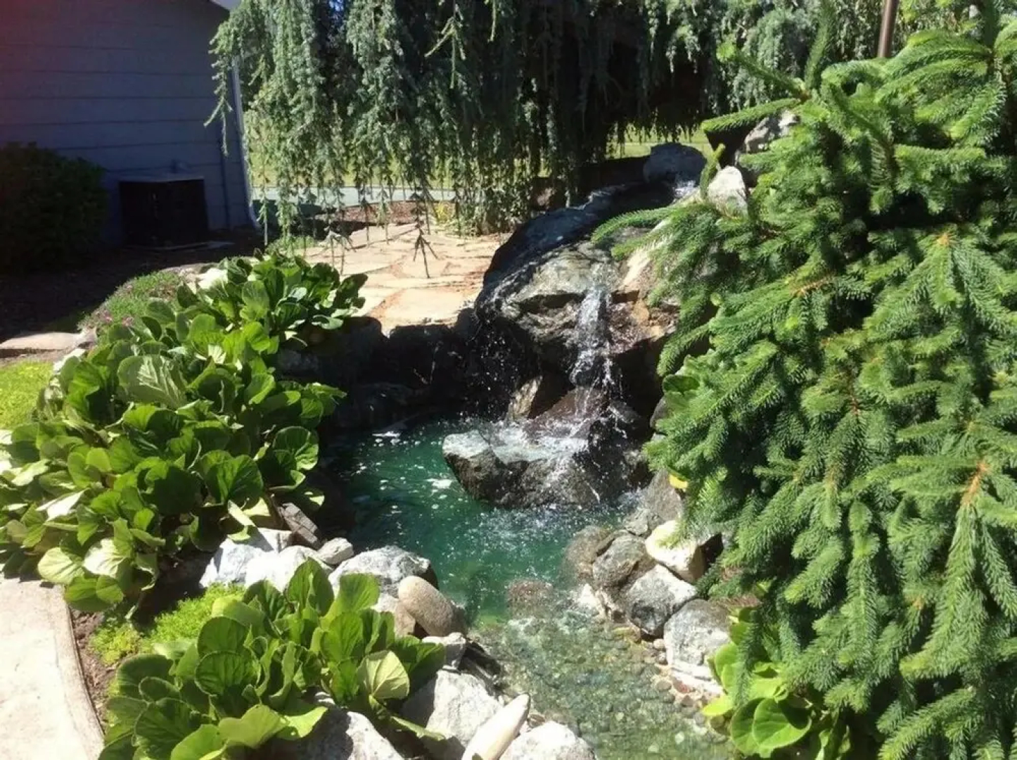 Racing Horse Ranch with Unlimited Golf