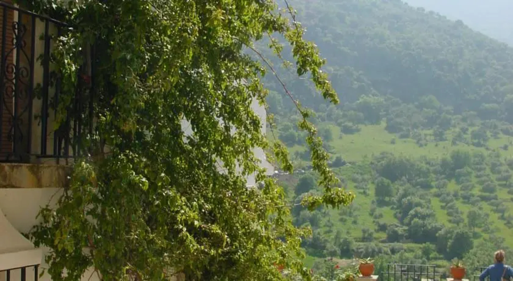El Abejaruco