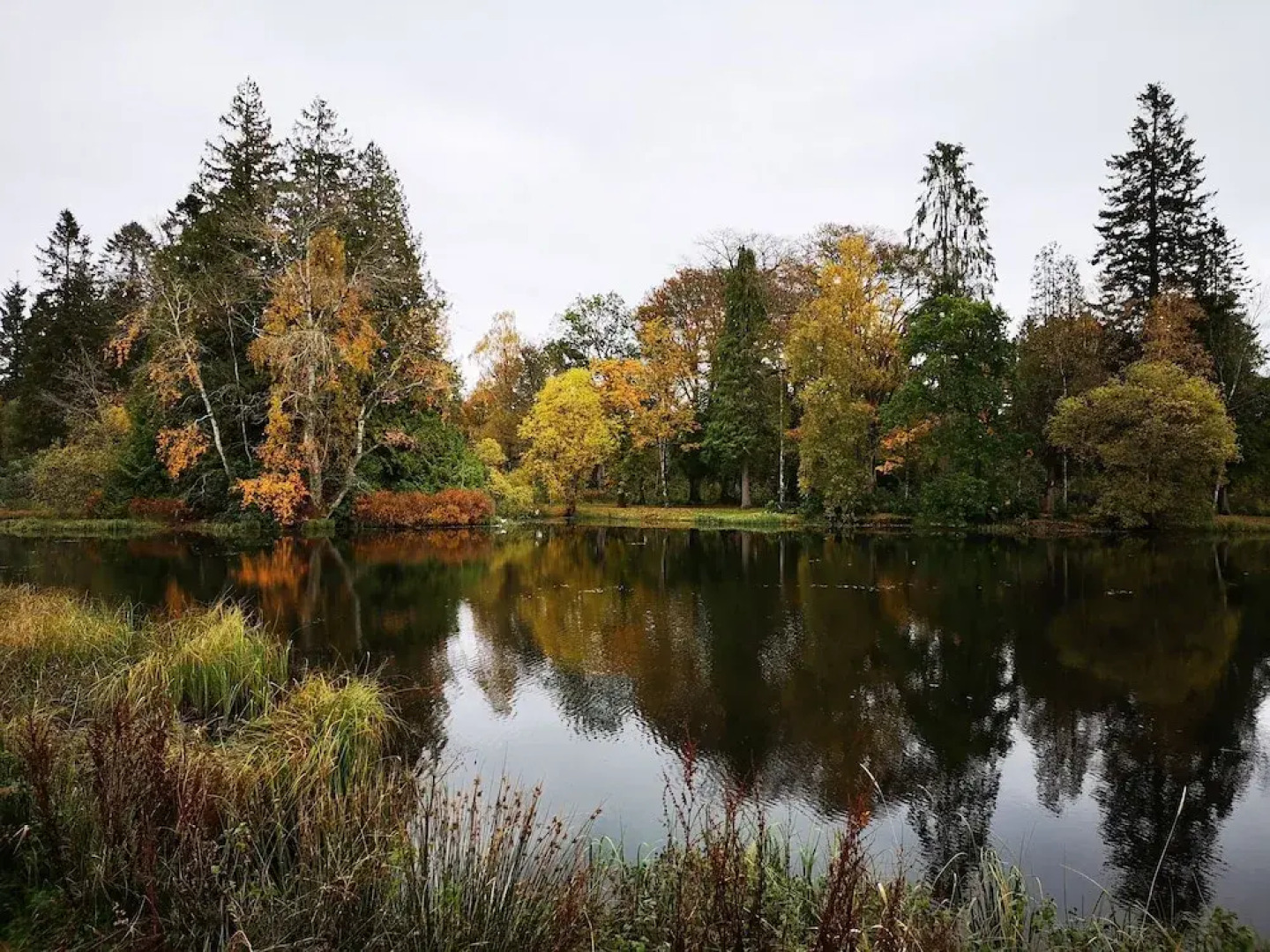 Tranquil Lodge Retreat in Beattock