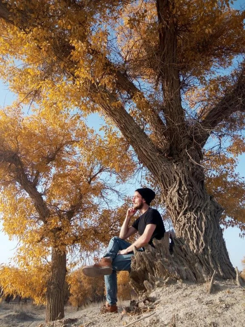 Korla Dragon Path Hostel