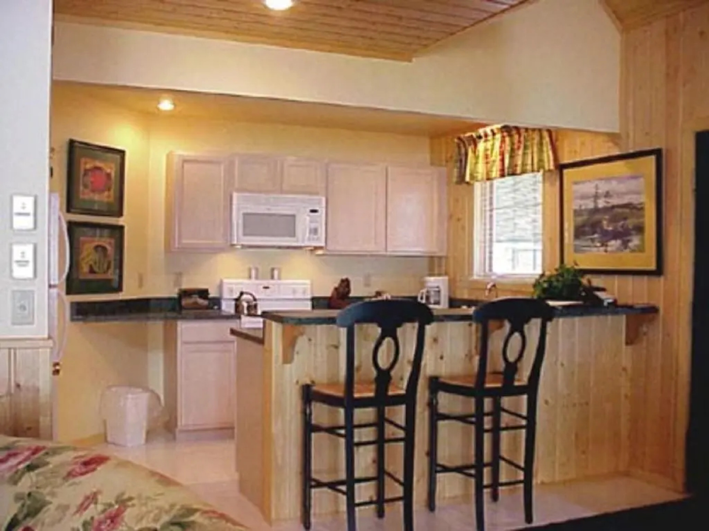 Drummond Island Resort