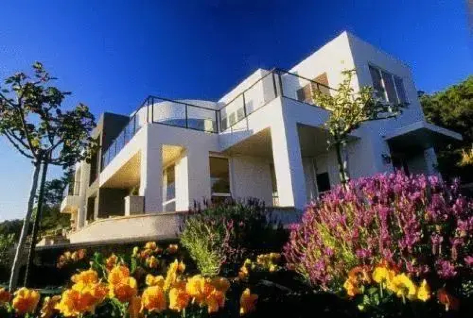 Miharotia House Boutique Bed & Breakfast