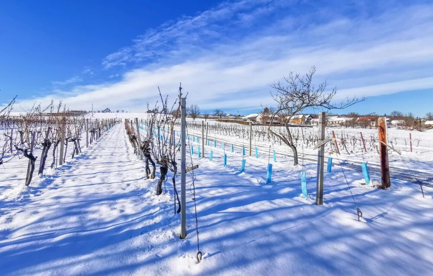 Nice Home in Winten With 2 Bedrooms and Wifi