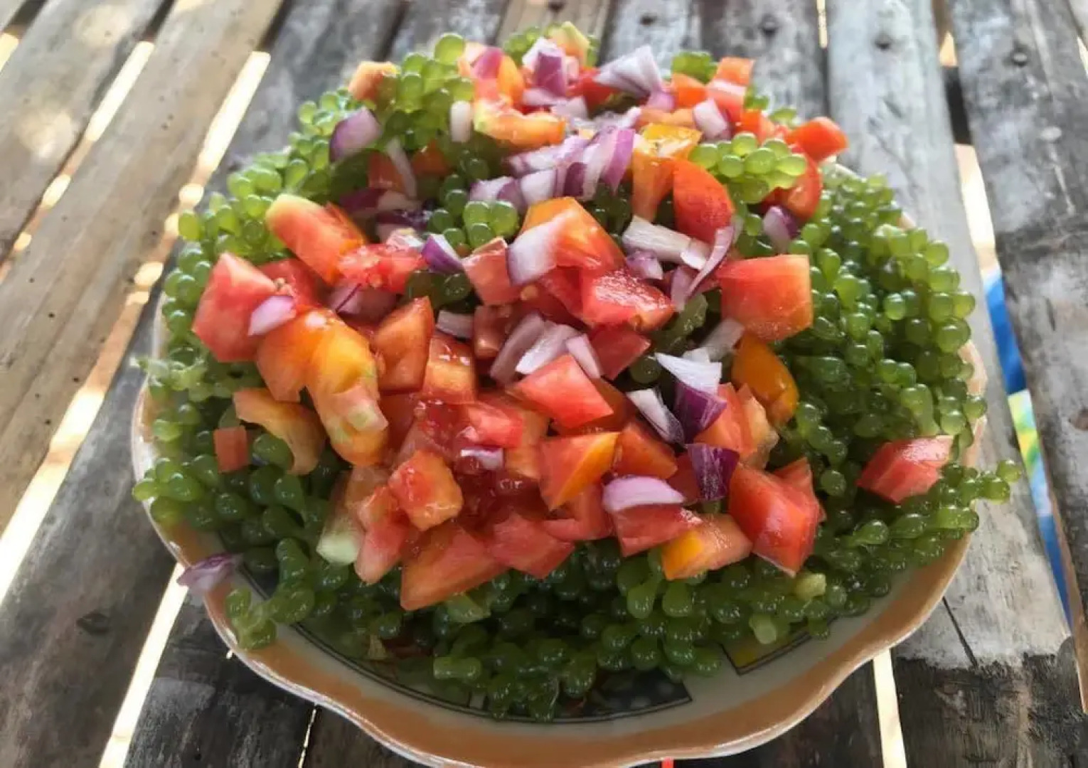 RMTM's Beachfront Accommodation