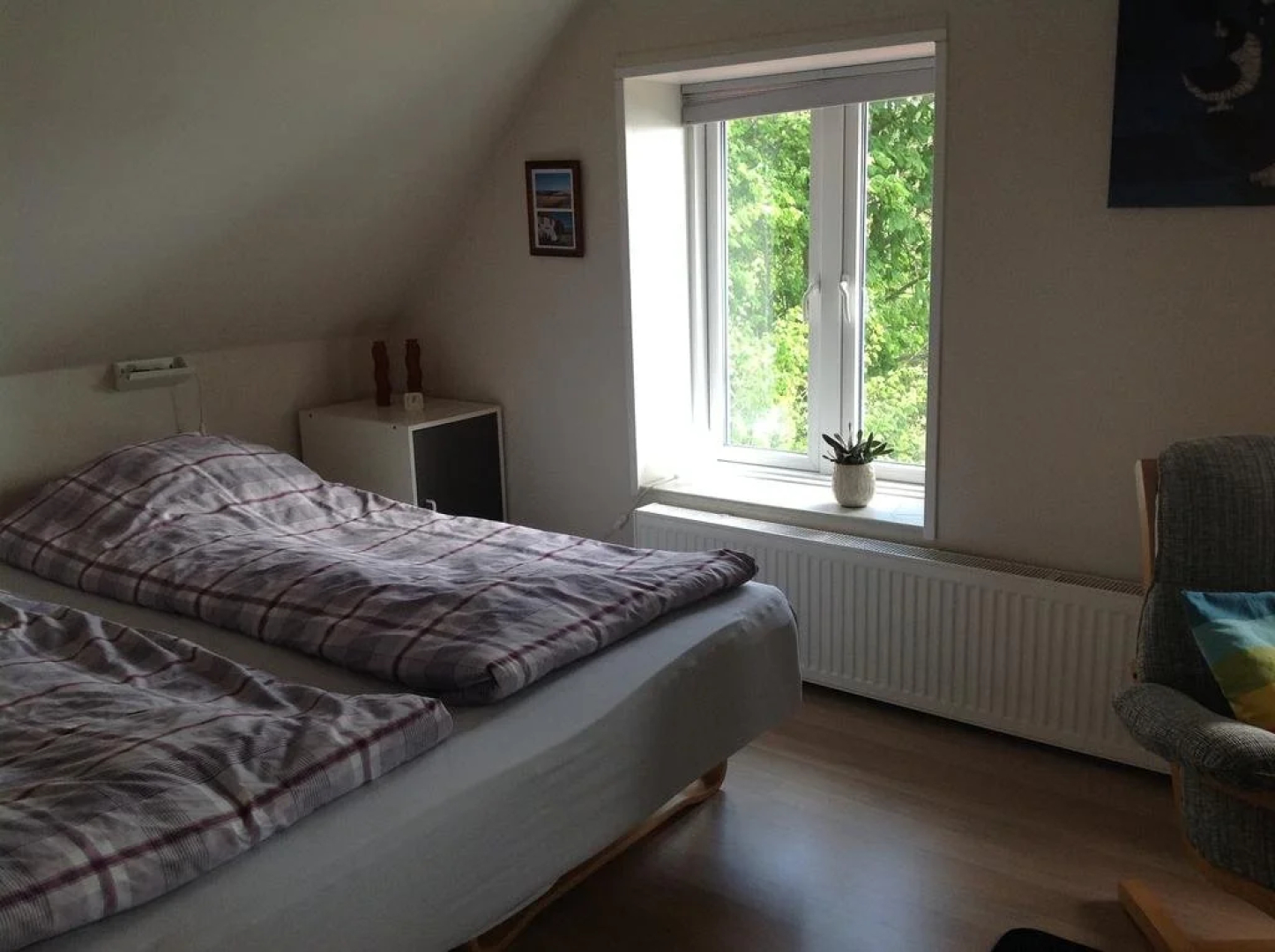 Bøgebjerggård Bed & Breakfast