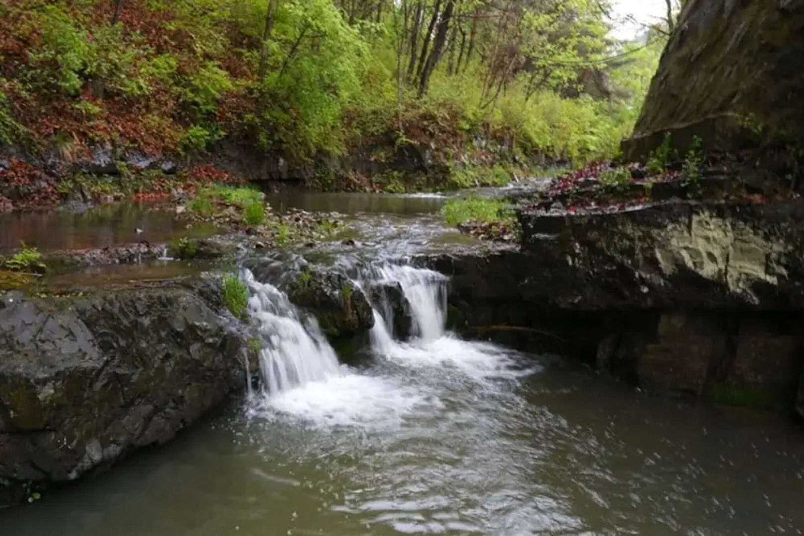 Cheongsong Songwol Pension