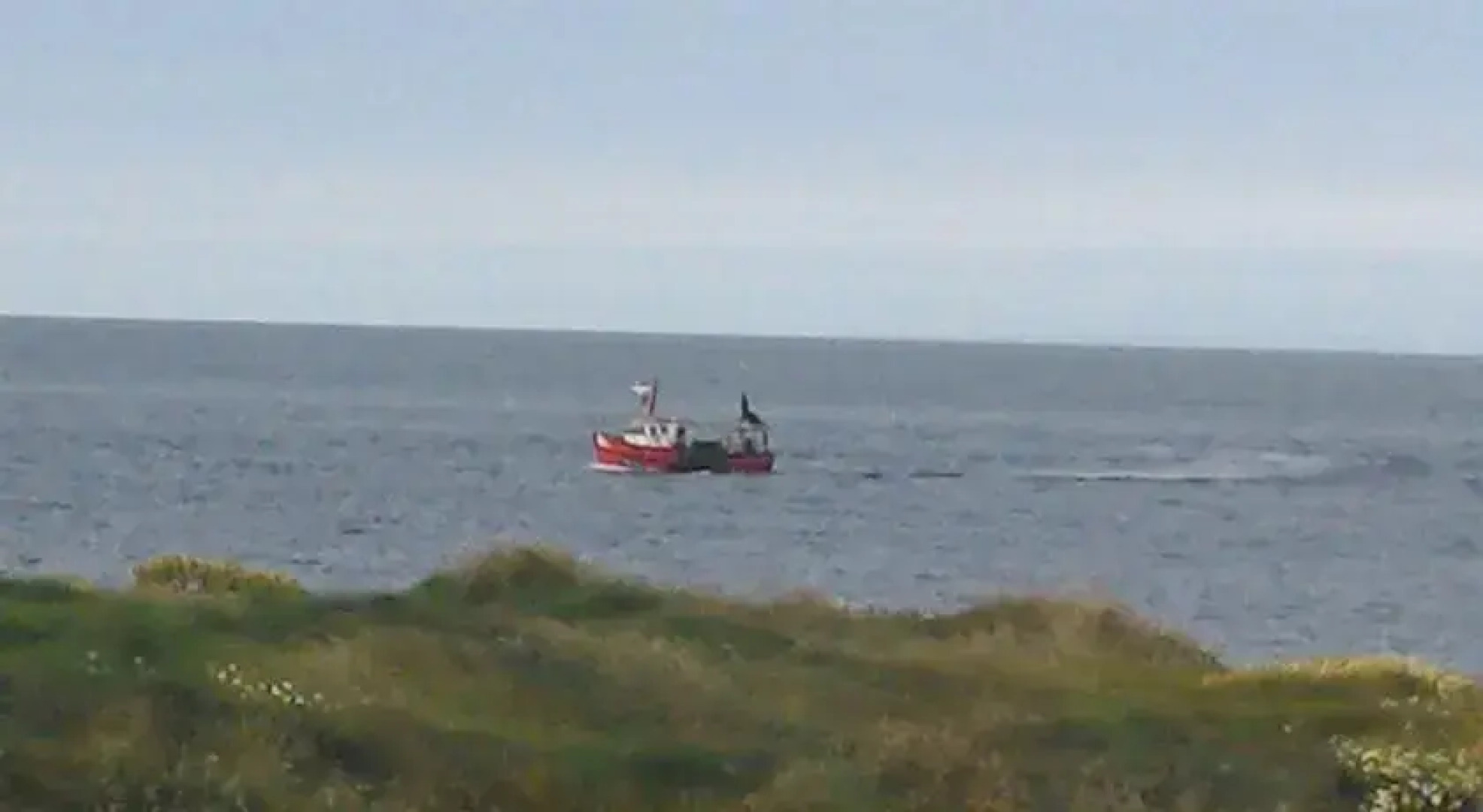 The Clovers, Fethard on Sea