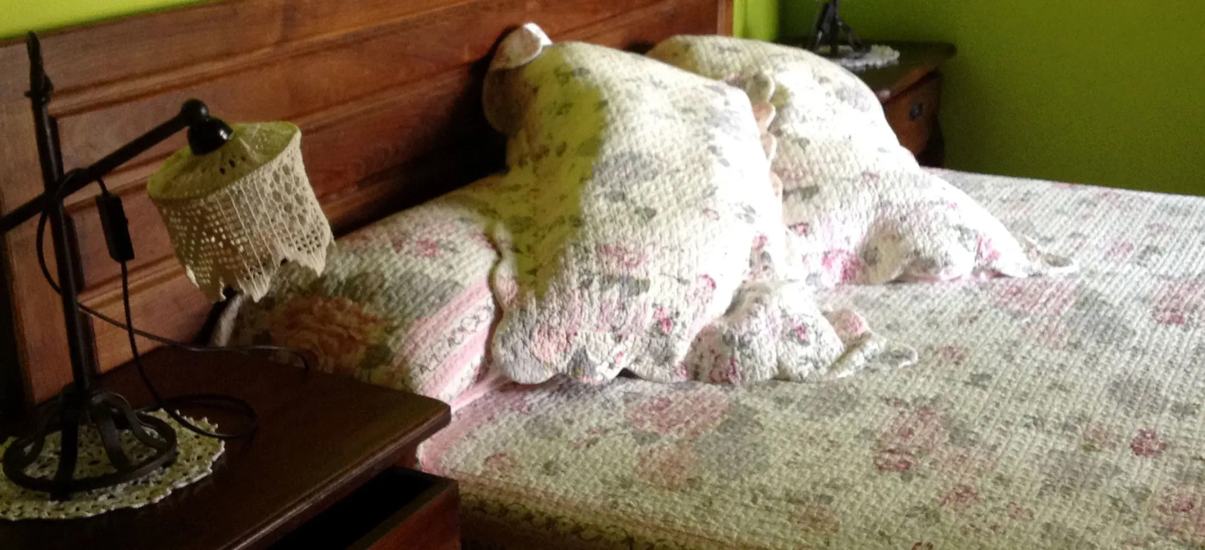 Posada Rural El Trenti de Corona