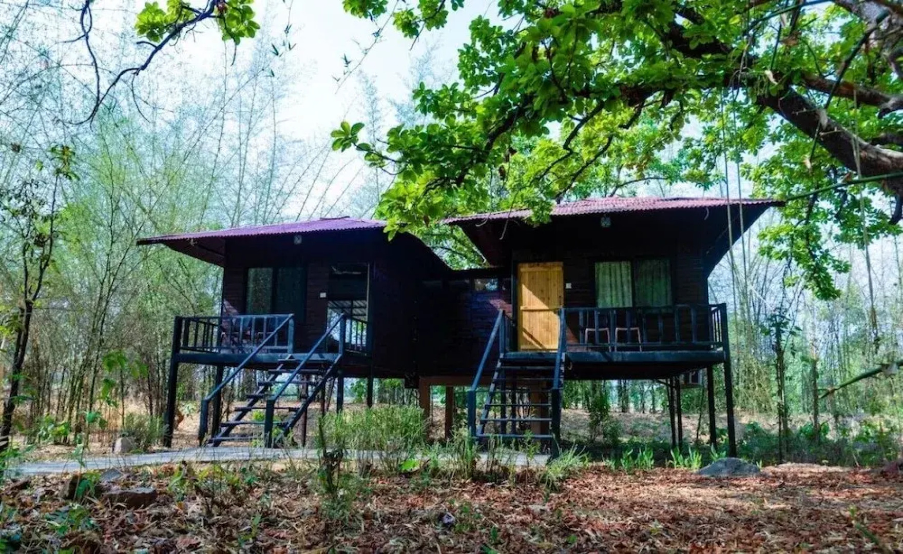 Wilderness camp Resort Pench