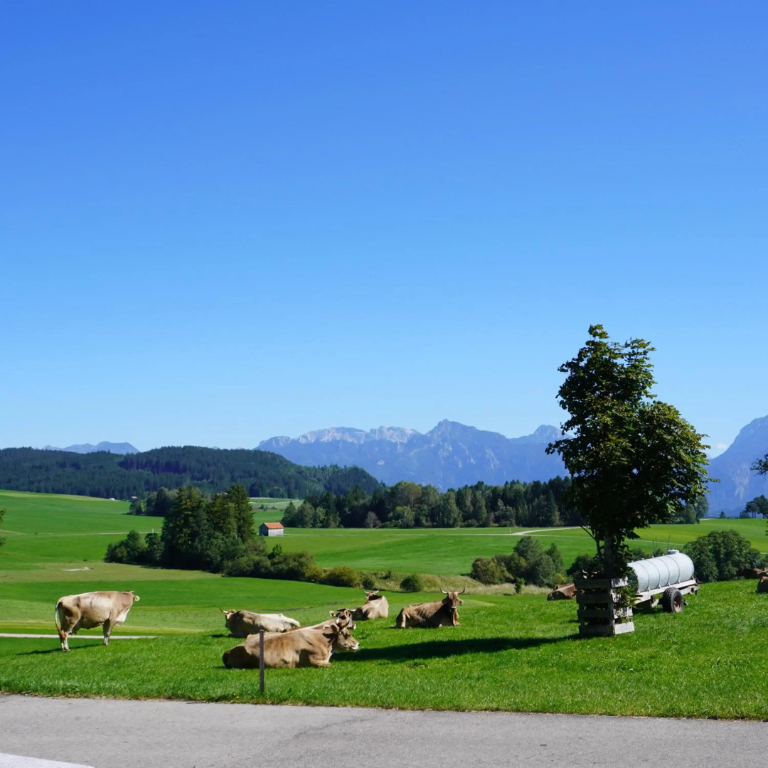 Ferienwohnung Linder