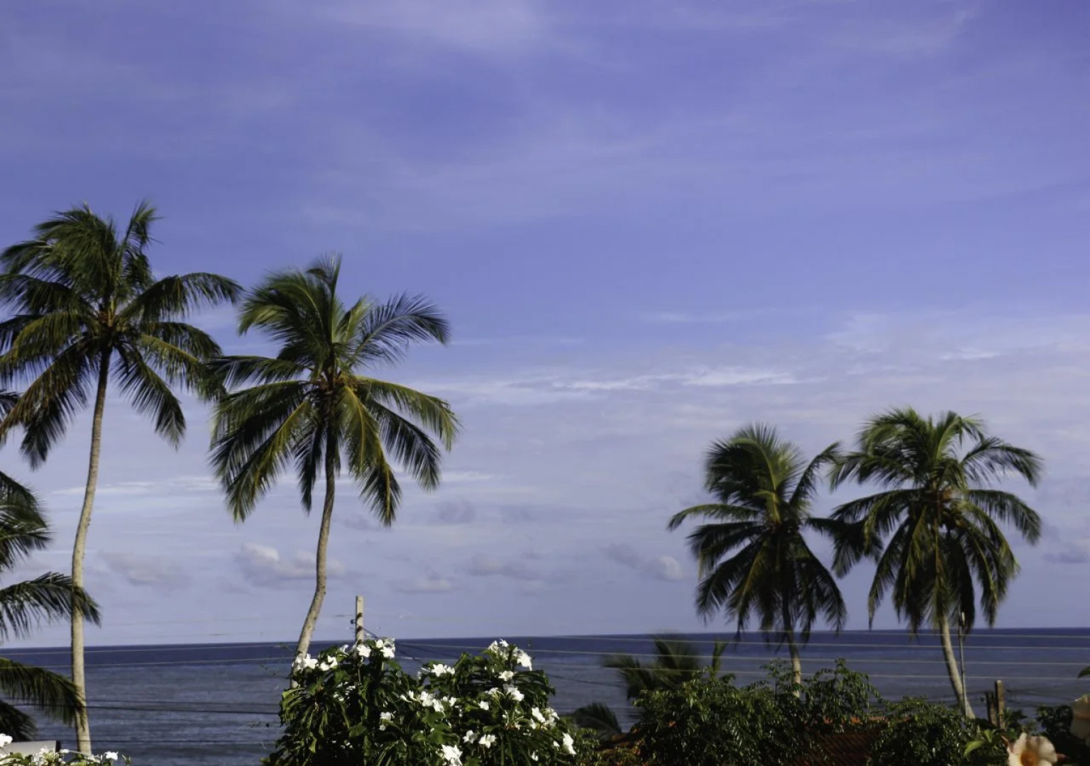 Ananda Home Stay and Restaurant