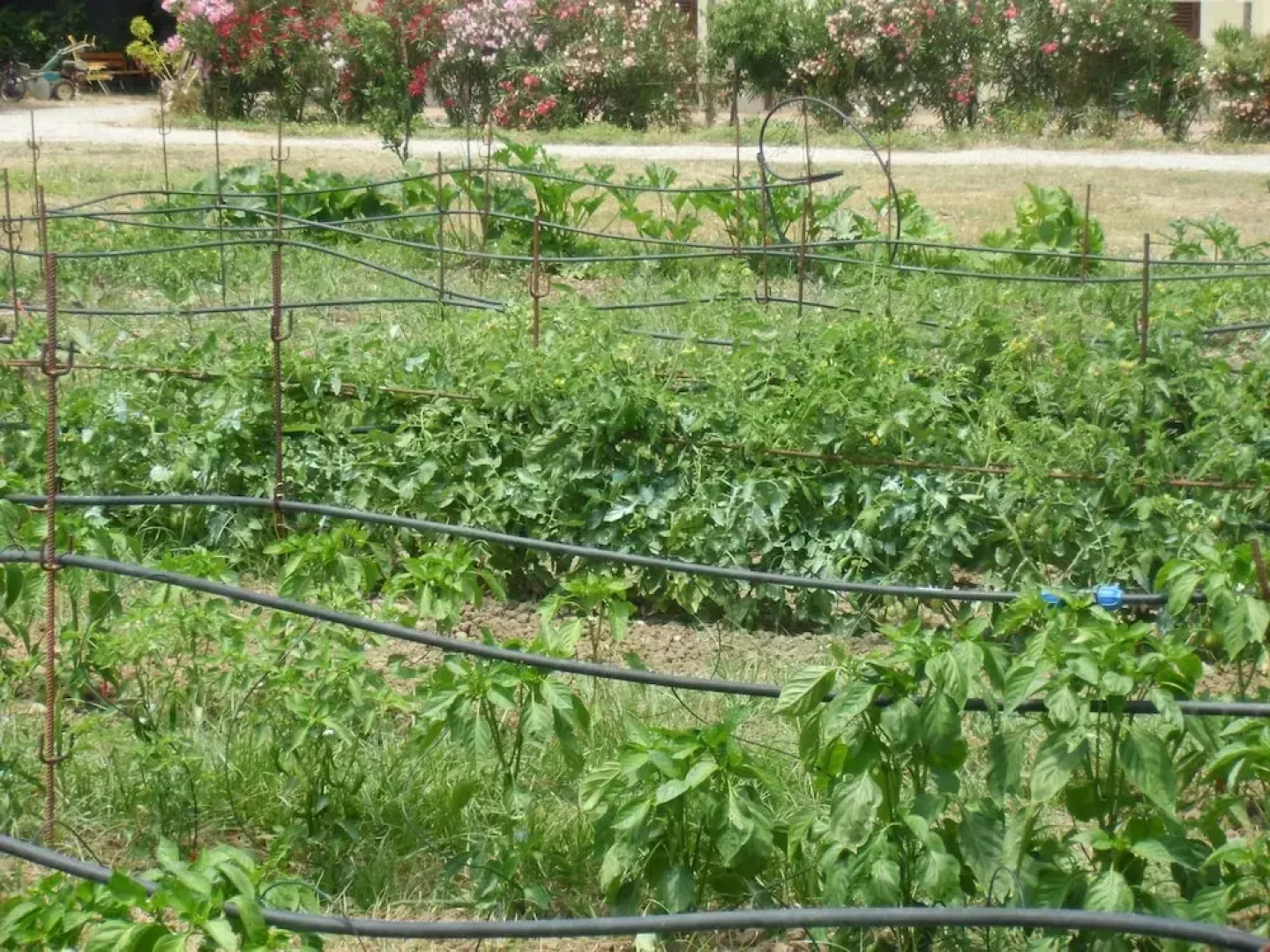 Holiday home Stella di Sicilia