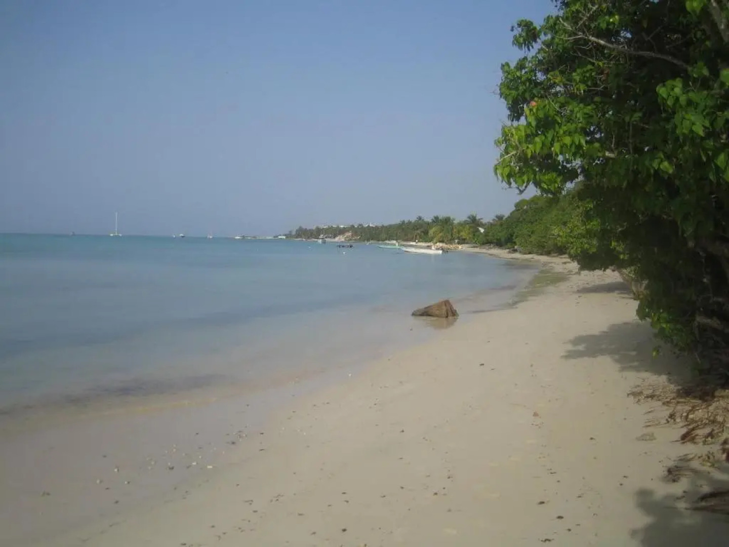 Habitation de lAnse Mancenillier