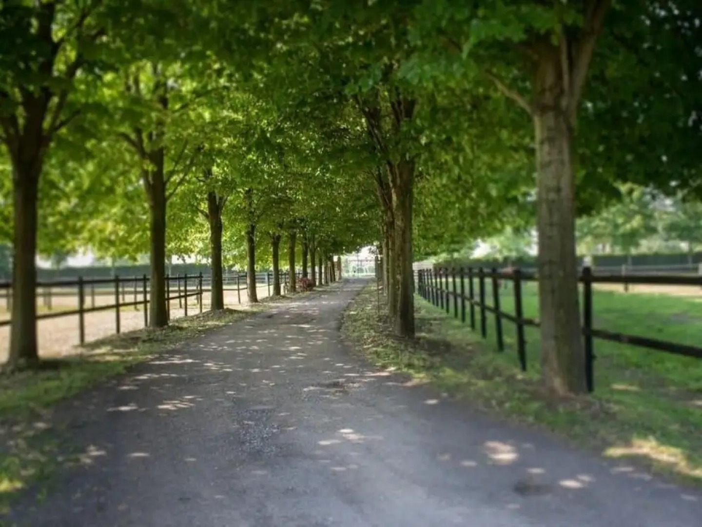 San Giacomo Horses & Agriturismo