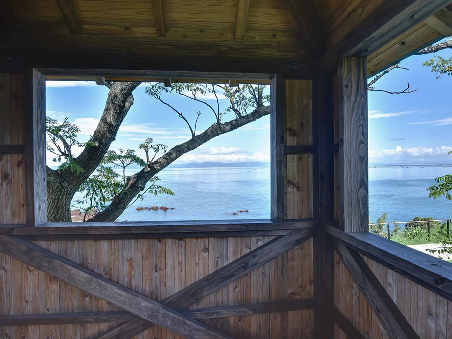 Yukusa Ohsumi Umi no Gakko