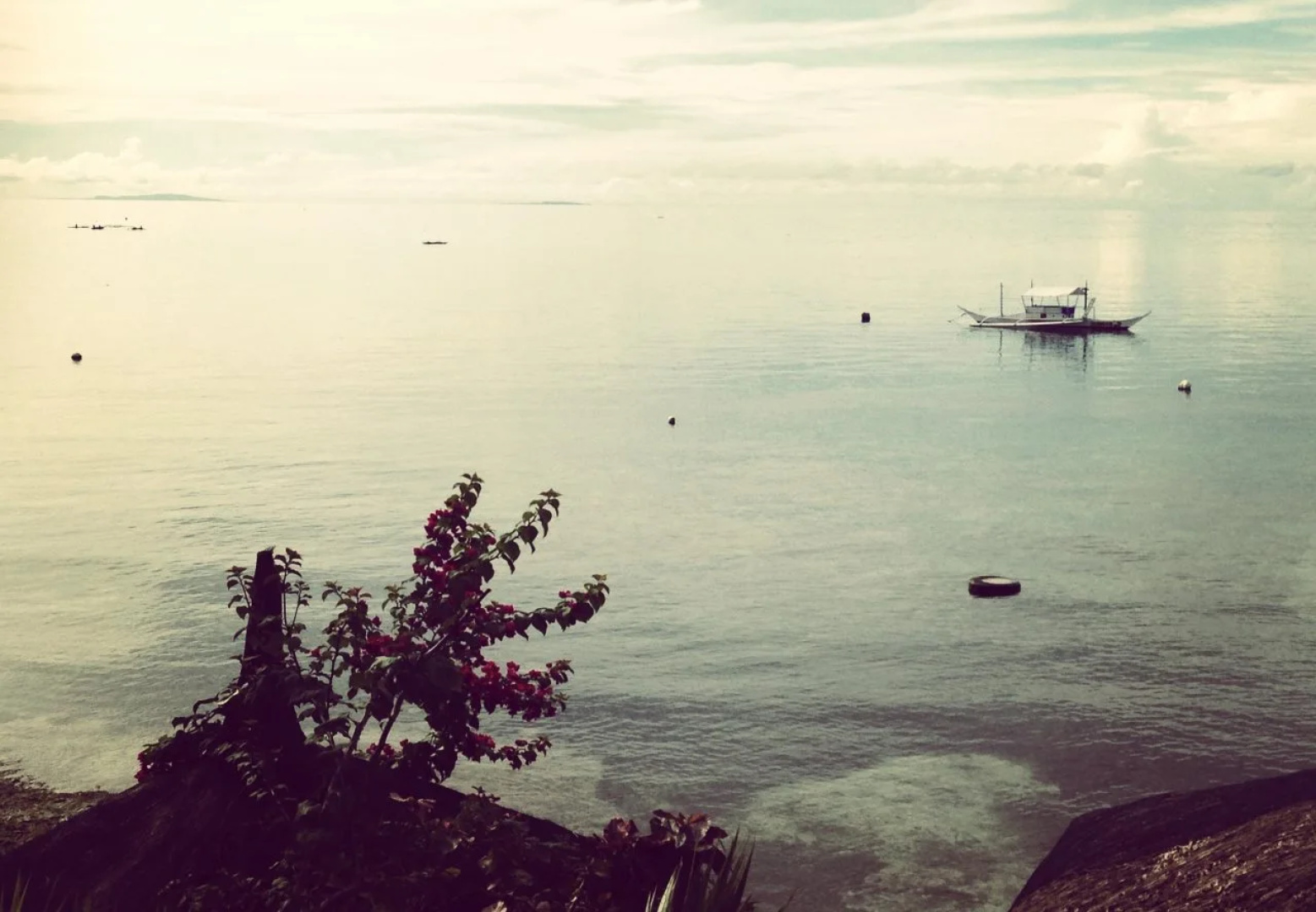 Dive Point Alcoy