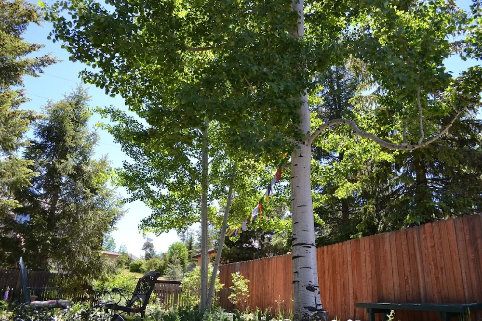 The Mountaineer Hostel