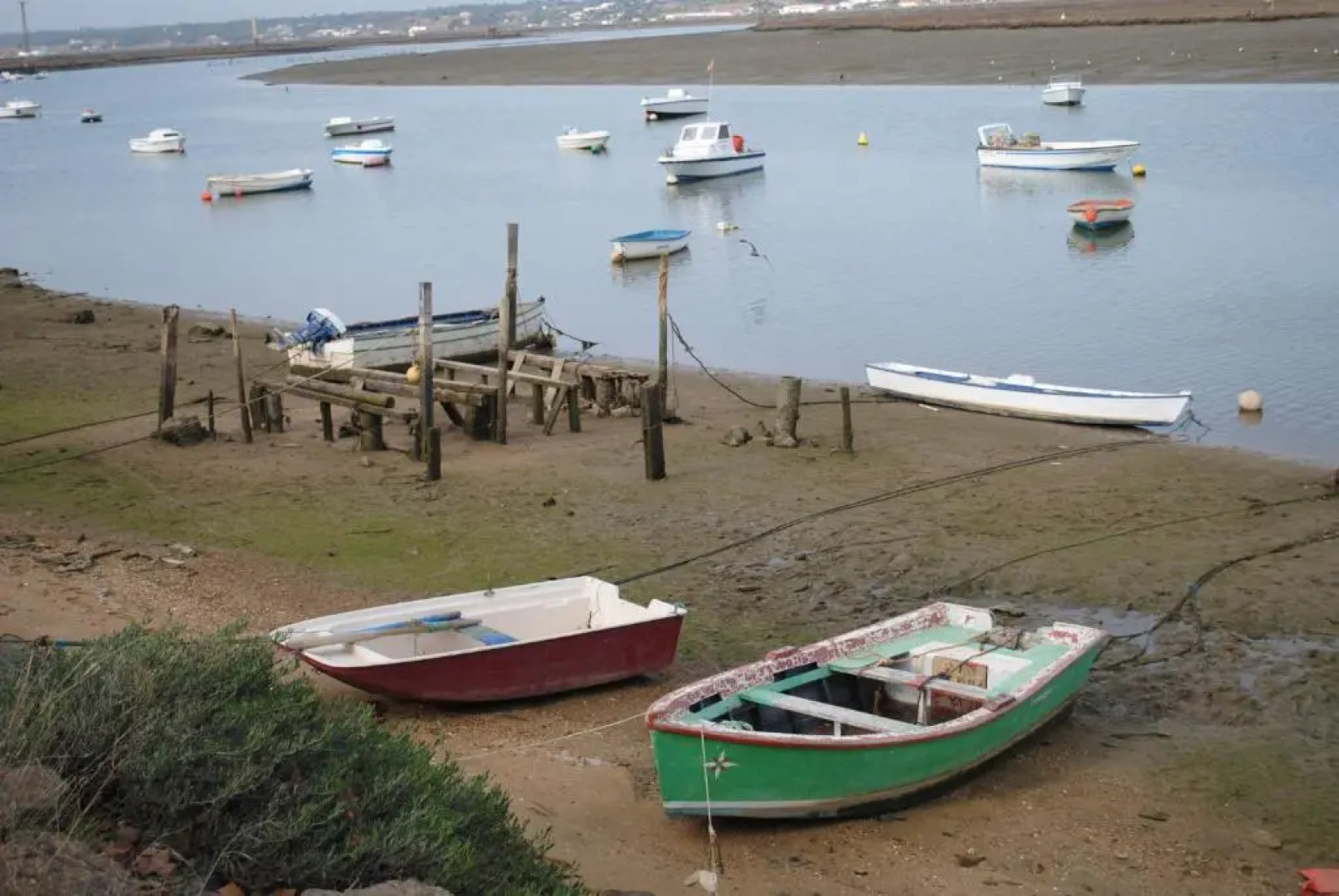 Apartamento Calle Fundadores