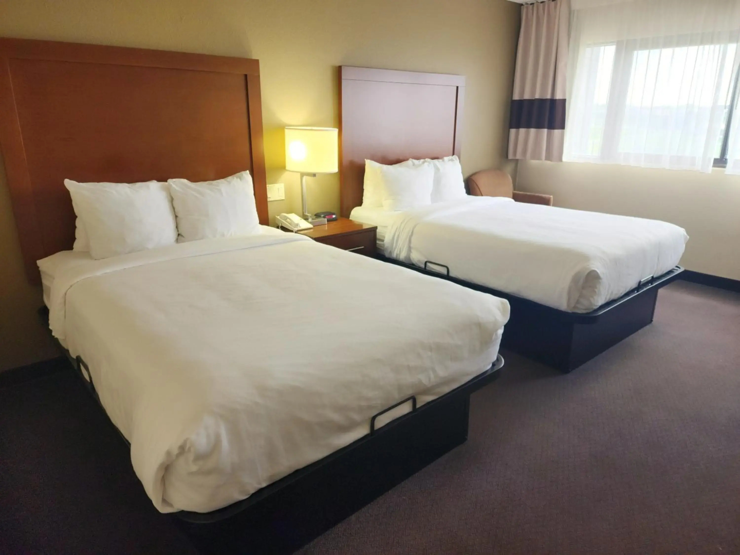 Comfort Inn & Suites Madison - Airport