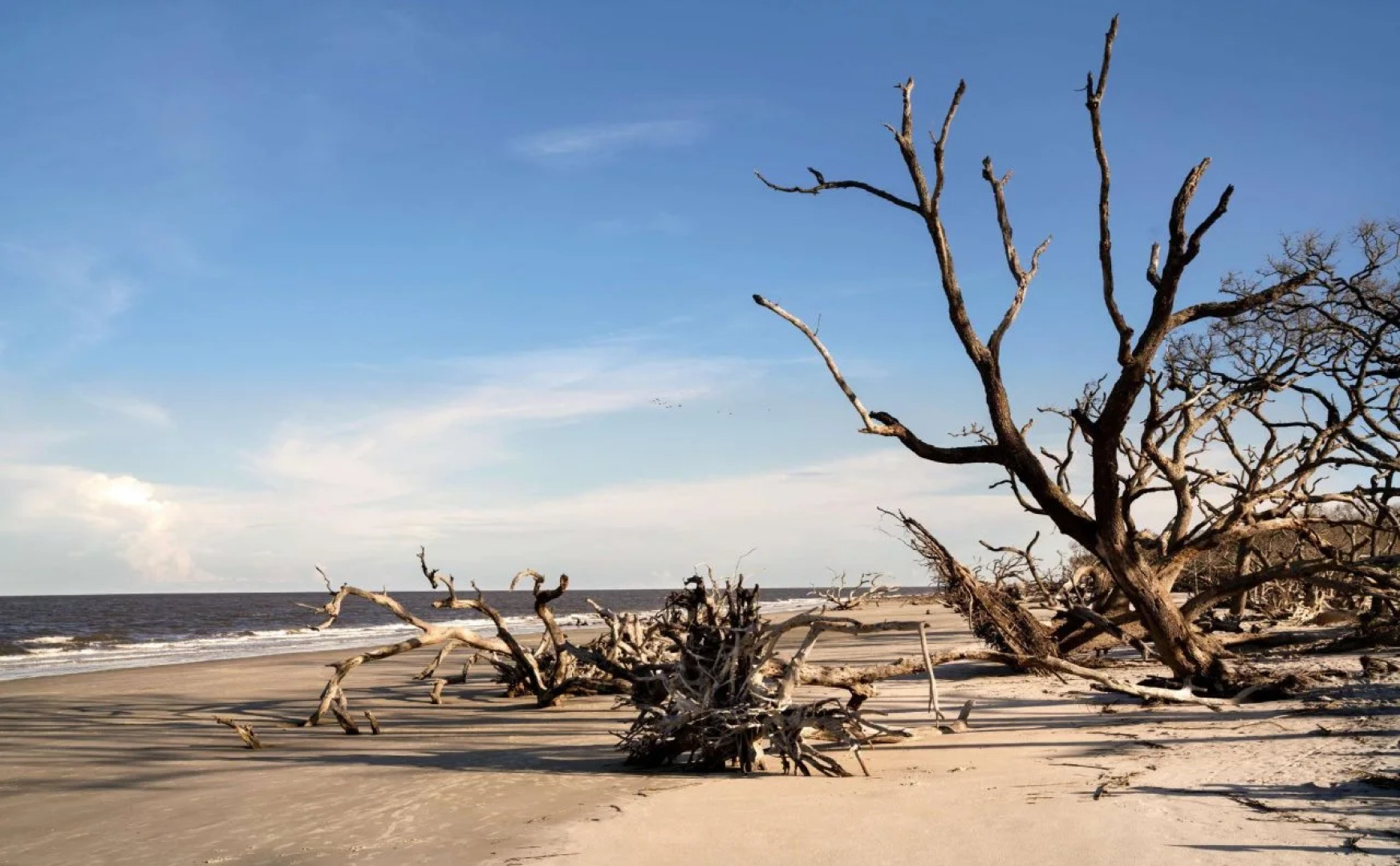 Embassy Suites by Hilton Brunswick