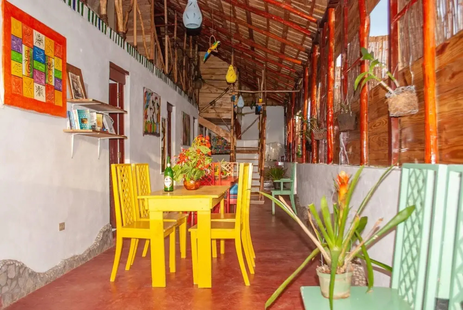 Hostel La Ballena Backpacker