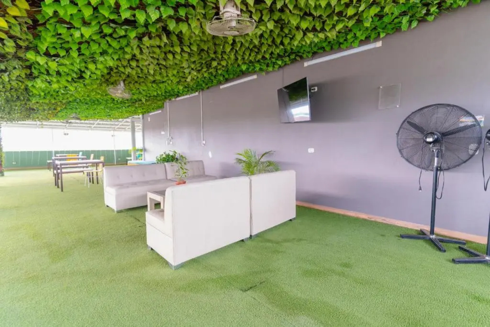 Hotel Plataneras Plaza