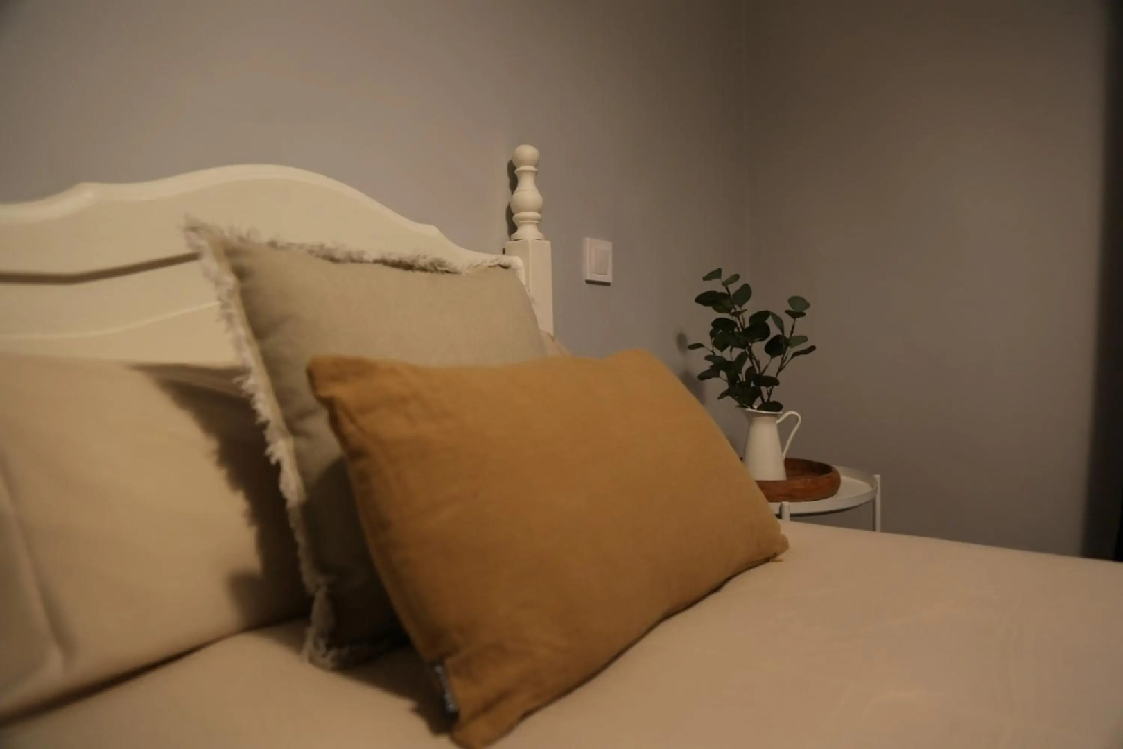 Nature Rural- Collections