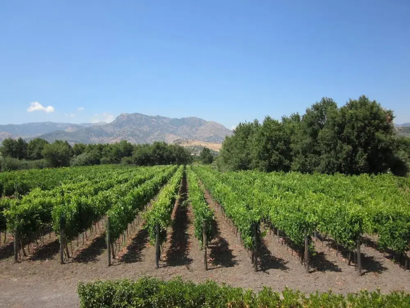 Tenuta Antica Cavalleria