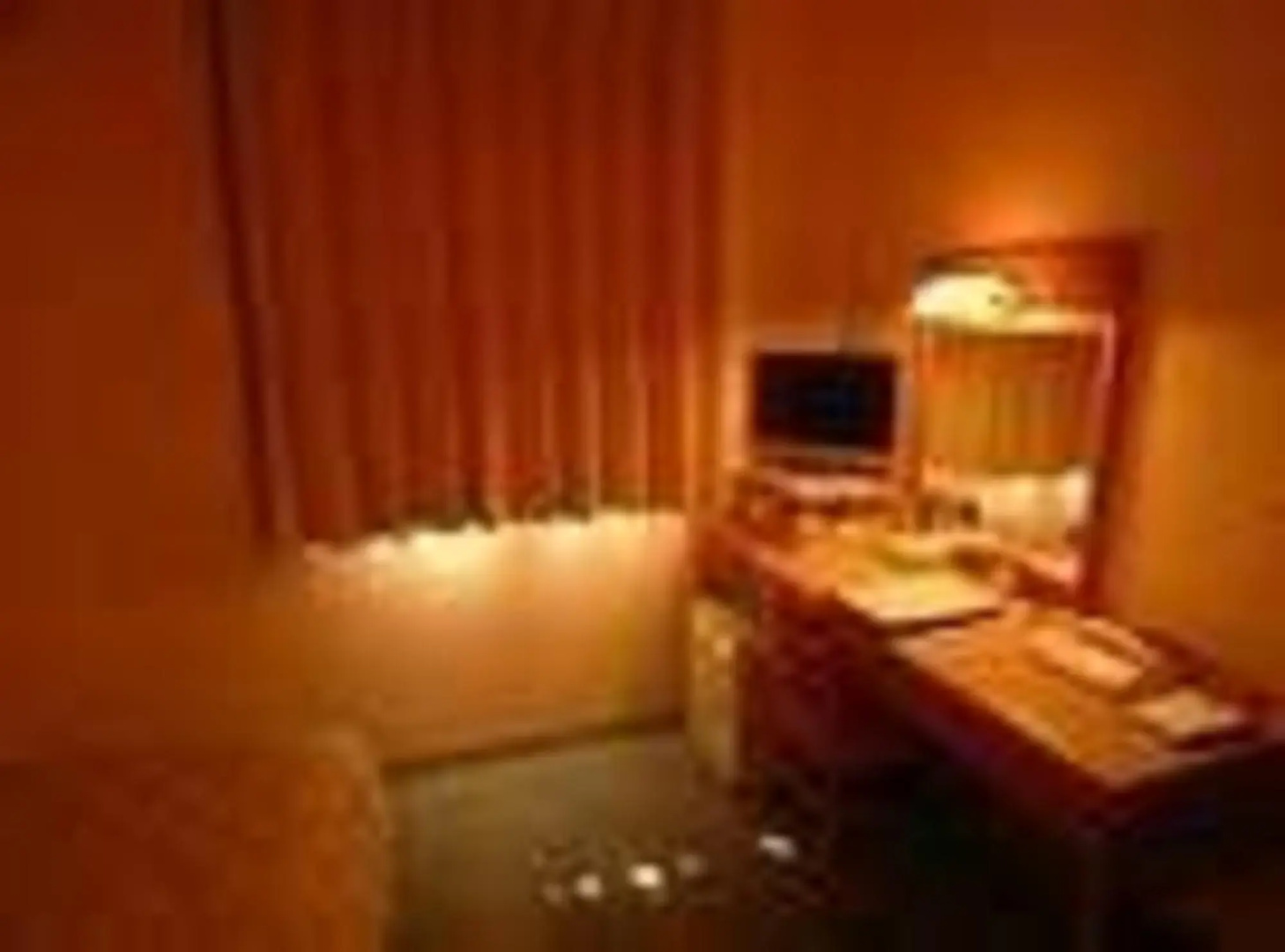 Business Hotel Shinbashi