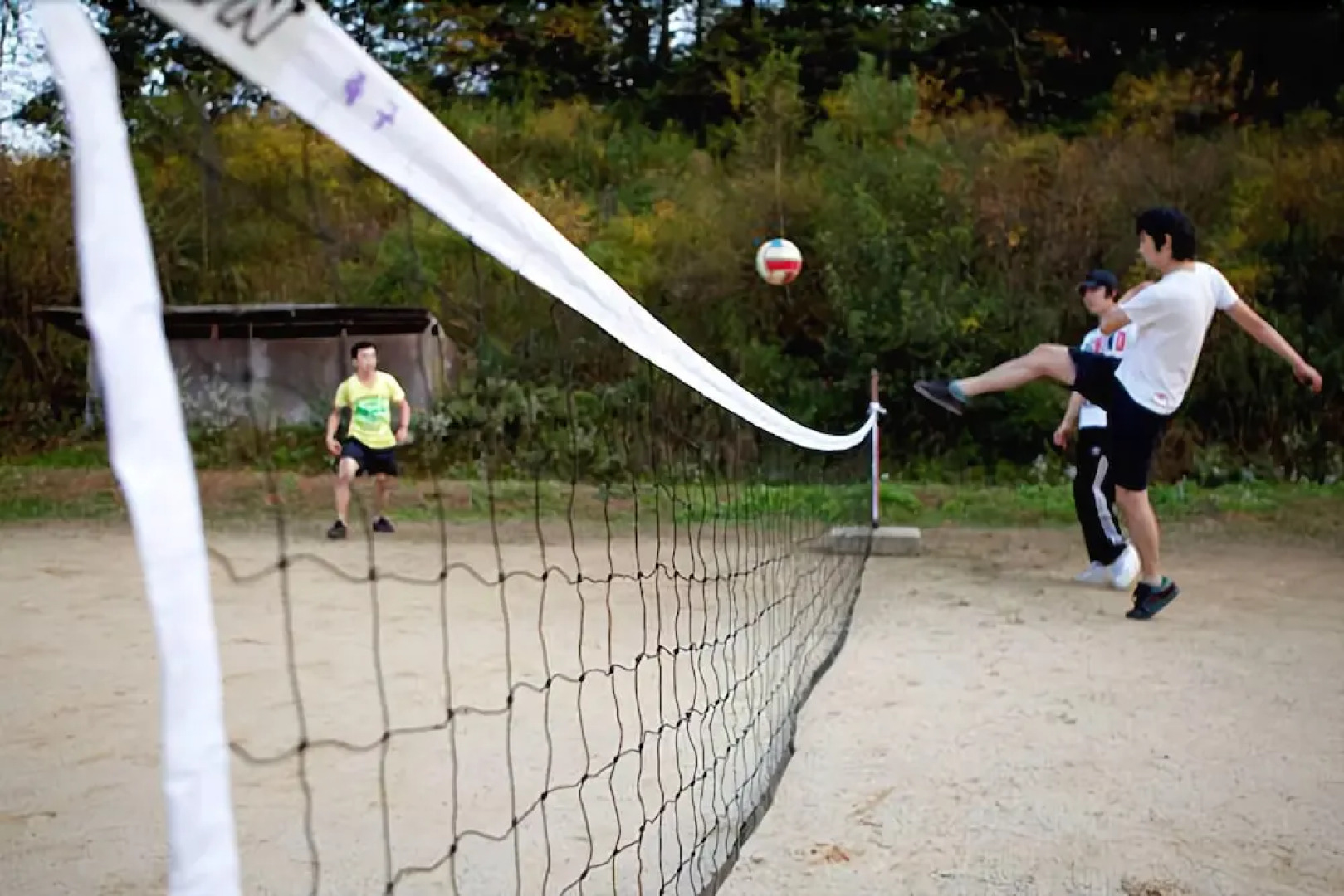 Taean Wood Fragrance Pension