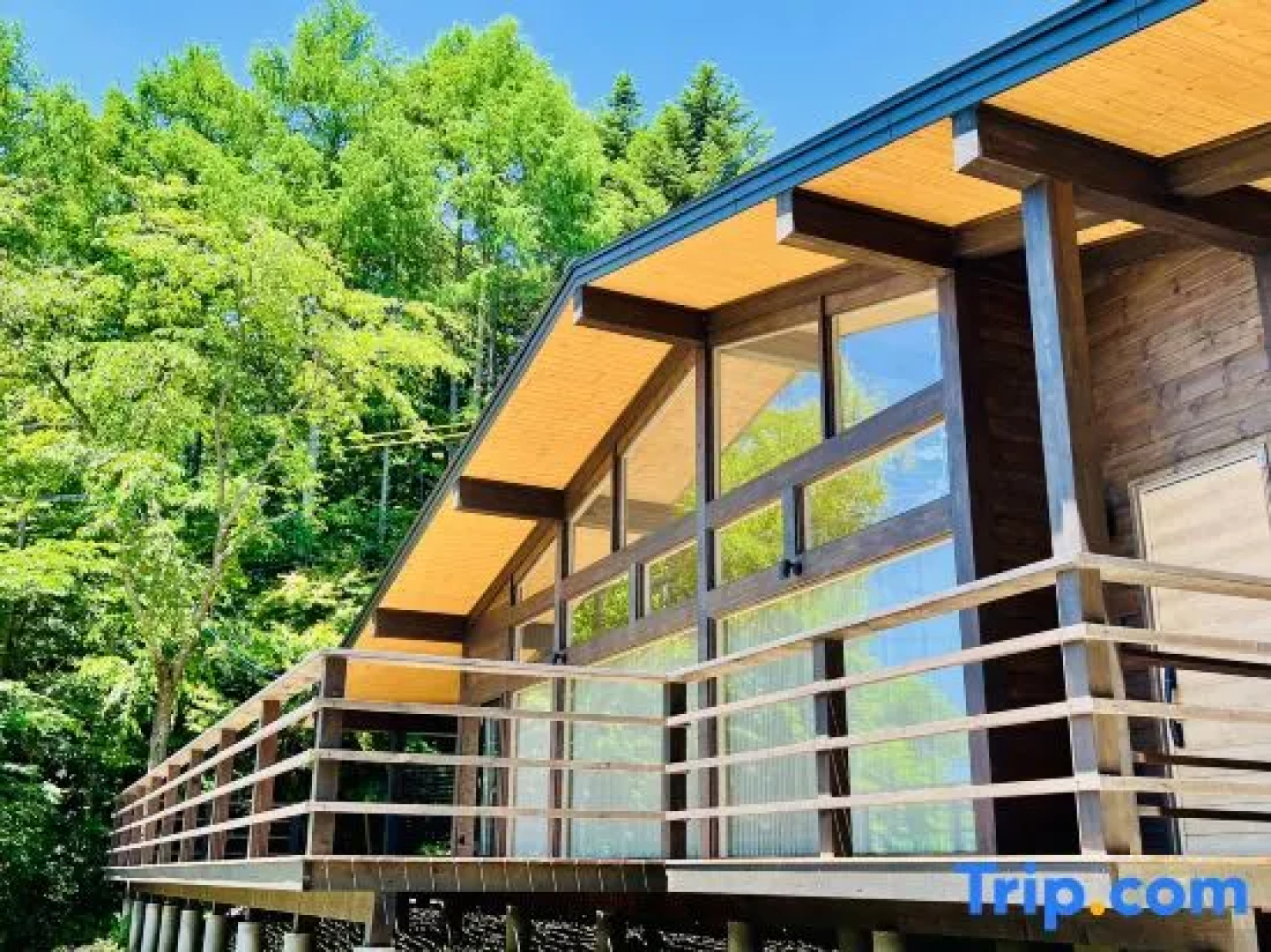 Terrace Villa Foresta Asama