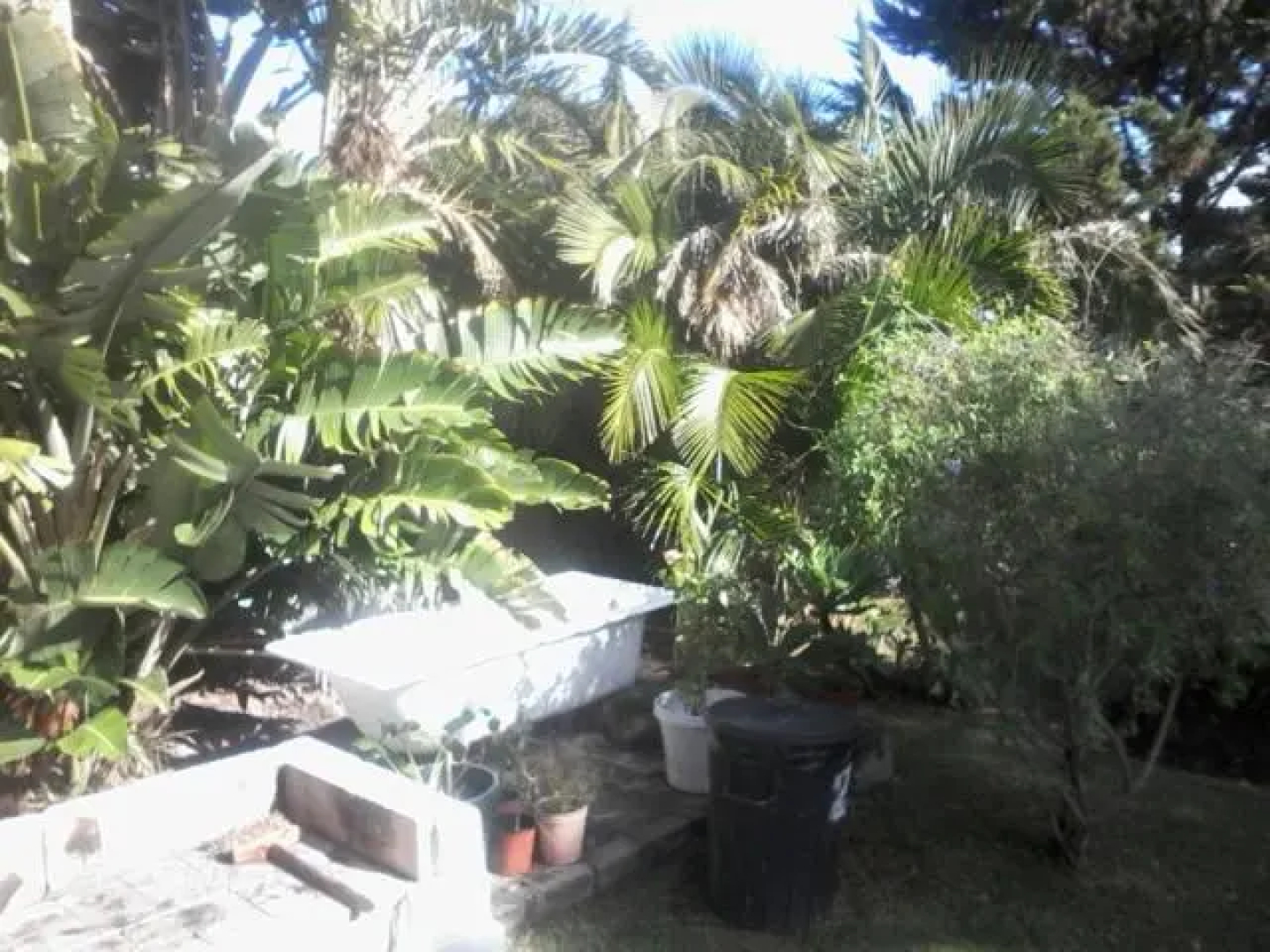 Self Catering Unit 6, Sandbaai