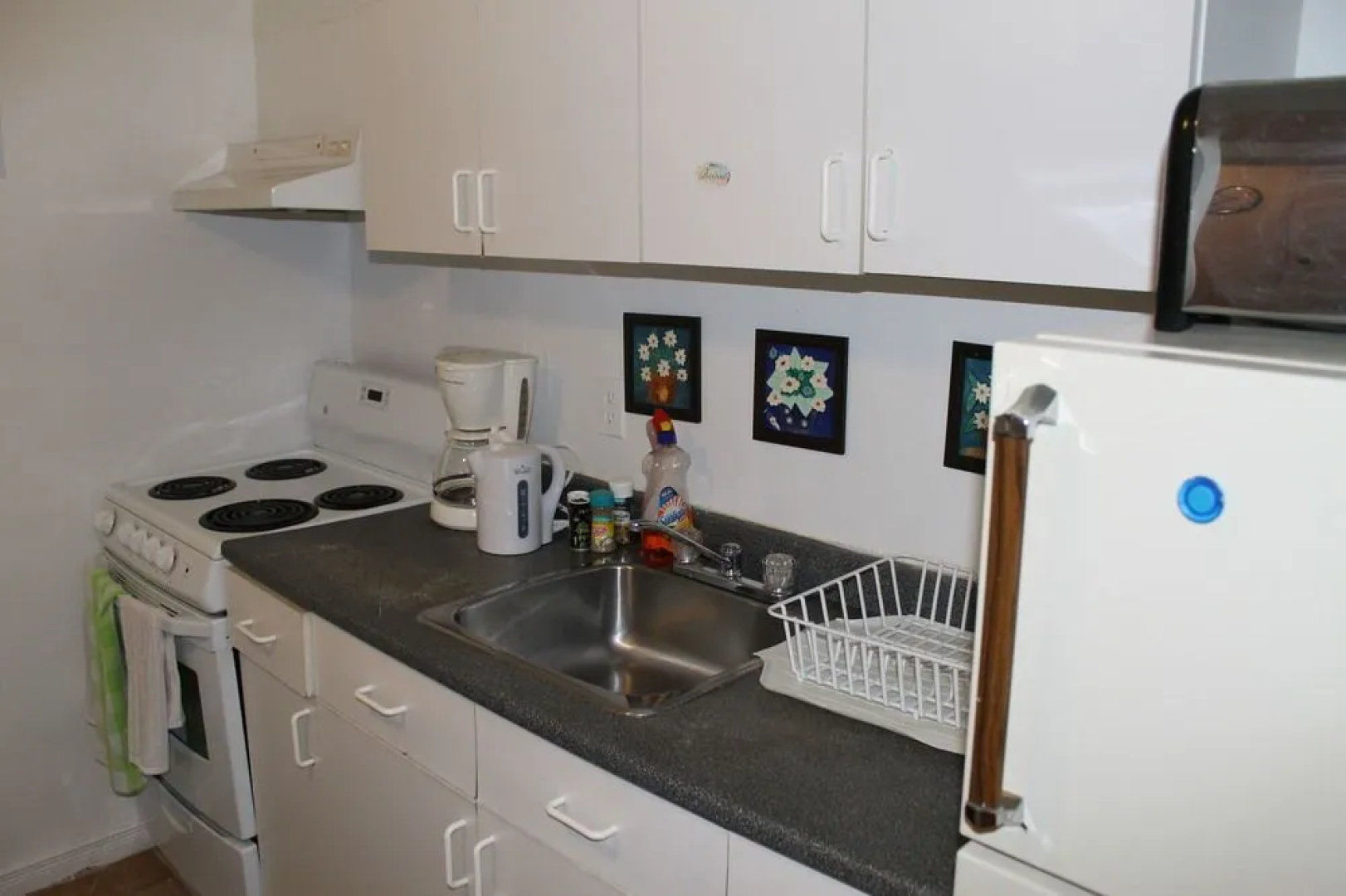 Adib Apartments - 224 Woodroffe Ave, Unit 4 (Basement)