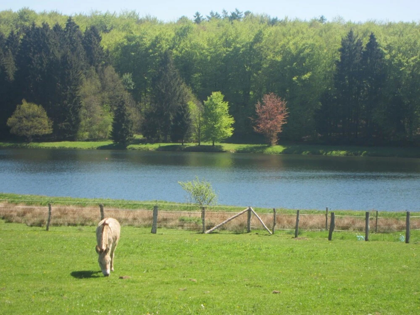Comfortable Holiday Home in Somme-leuze With Garden