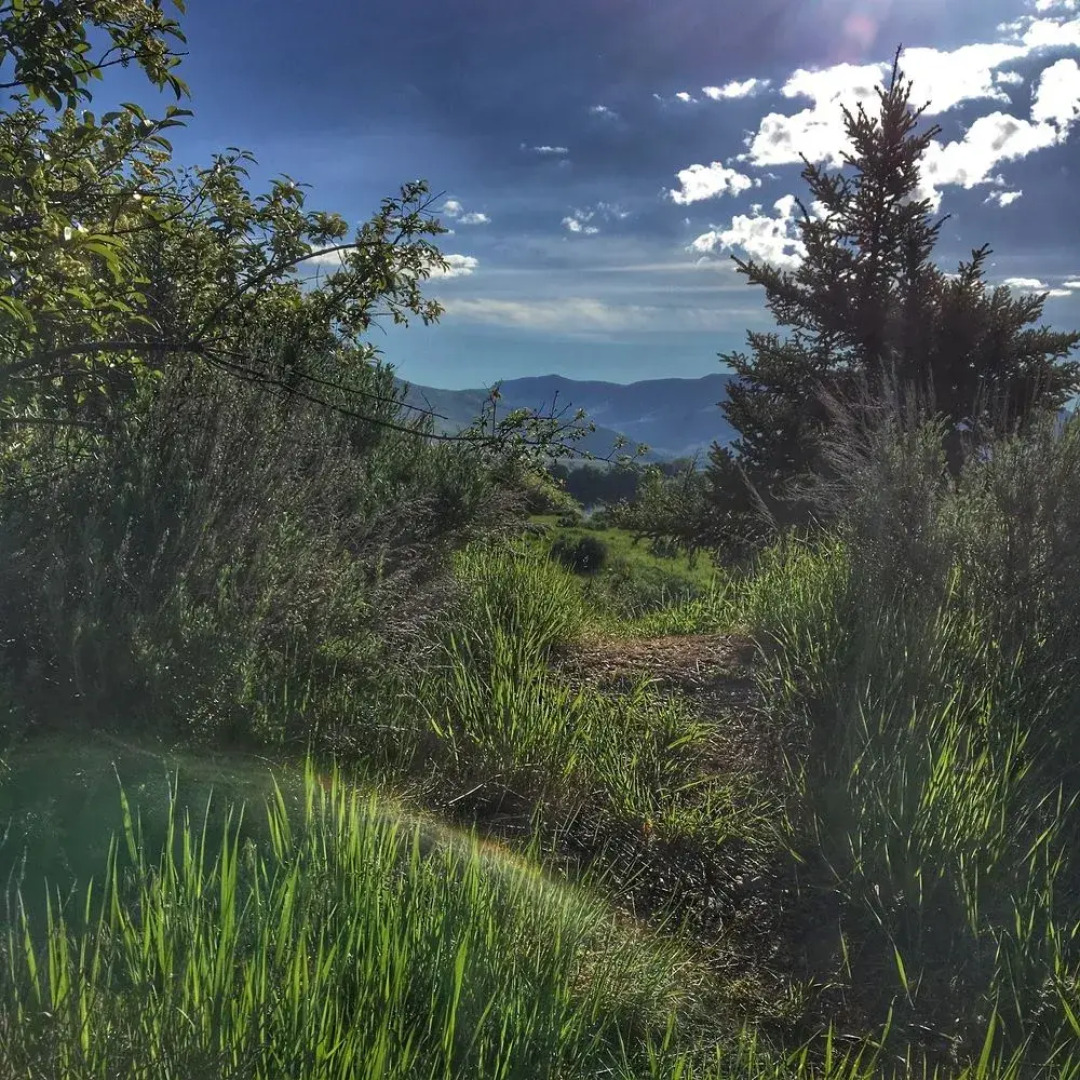 Snowberry Inn Bed & Breakfast