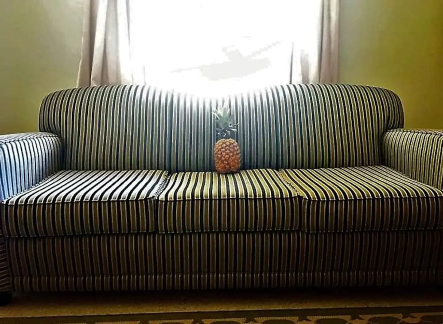 Gold Coast Family Cottages