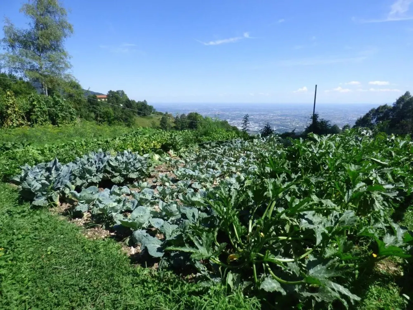 Damarco Alloggio Turistico Locanda