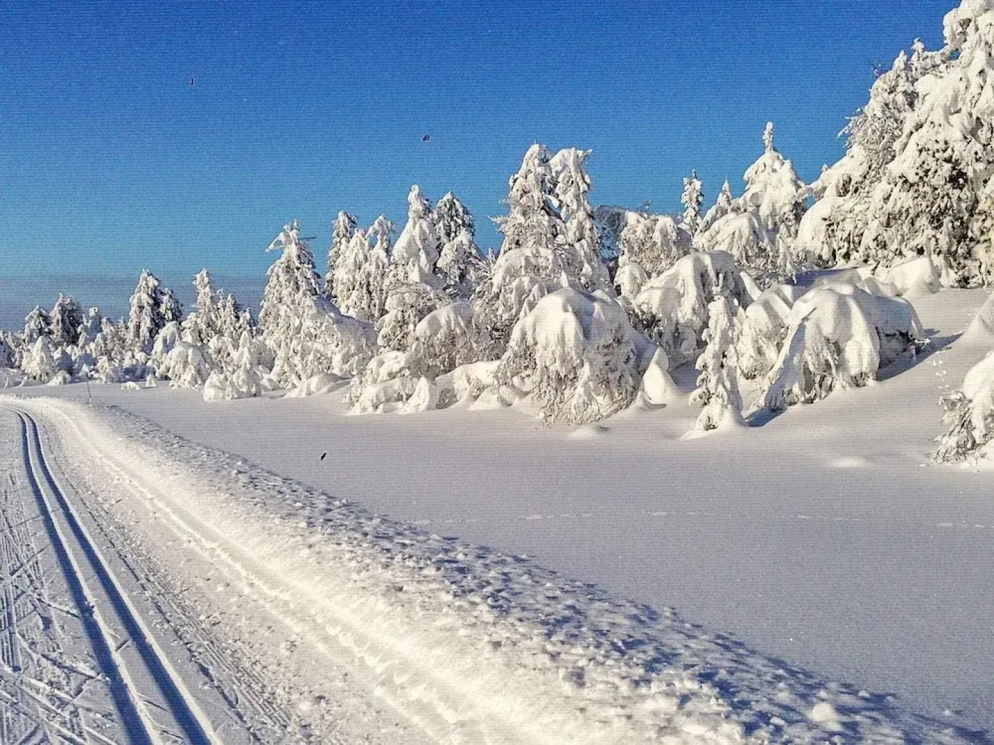 Holiday Home in Svingvoll