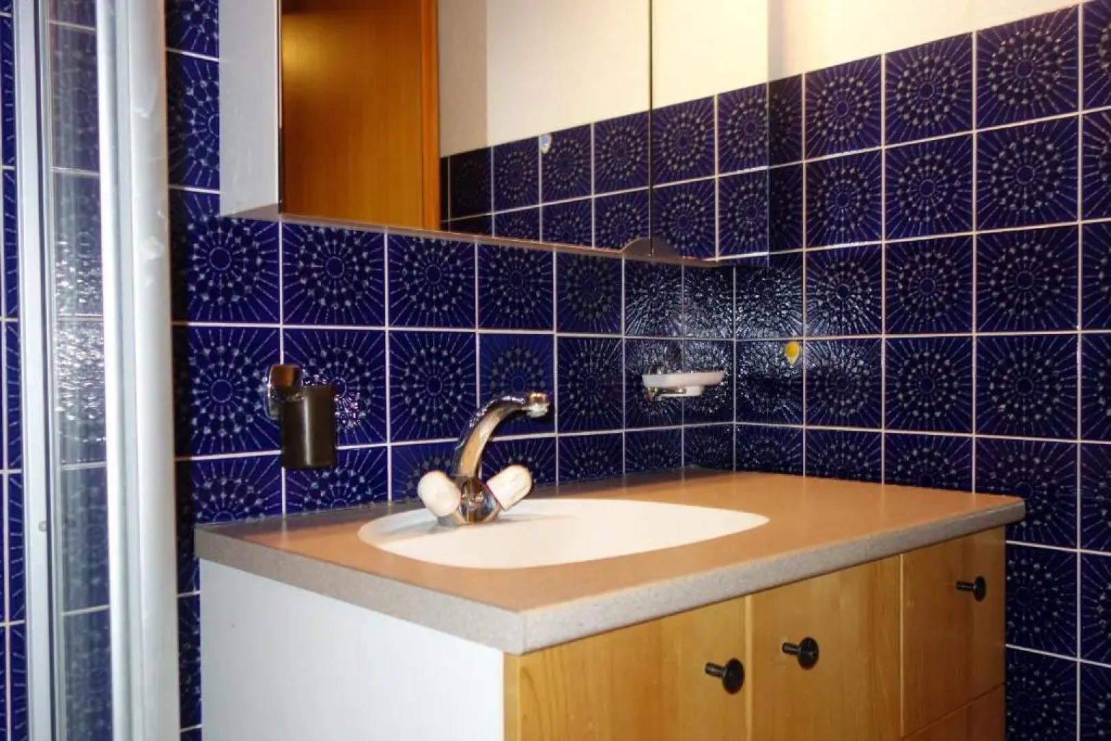 Diablerets SKI LIFT & MOUNTAIN apartments