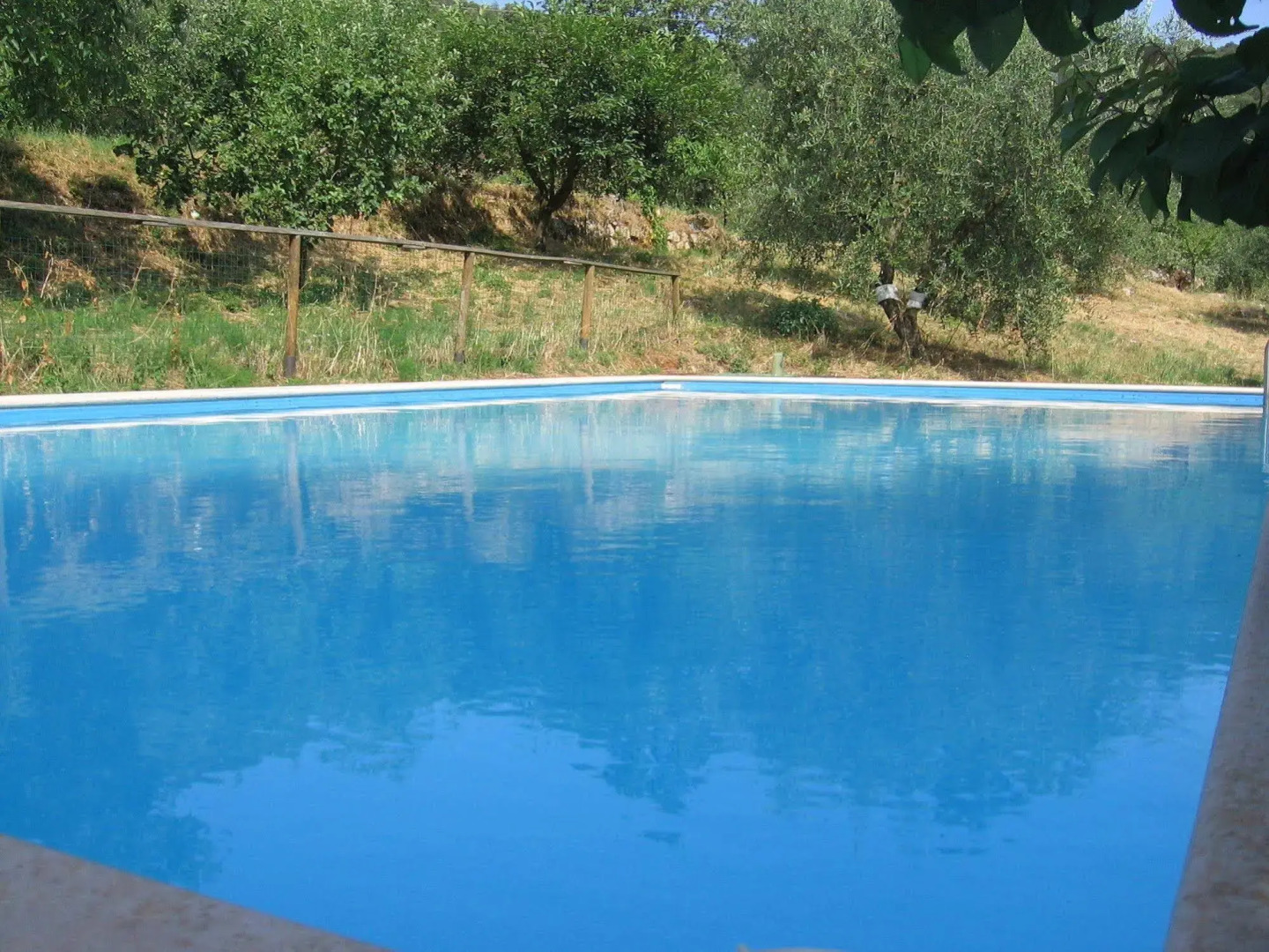 Agriturismo Podere Ficareto