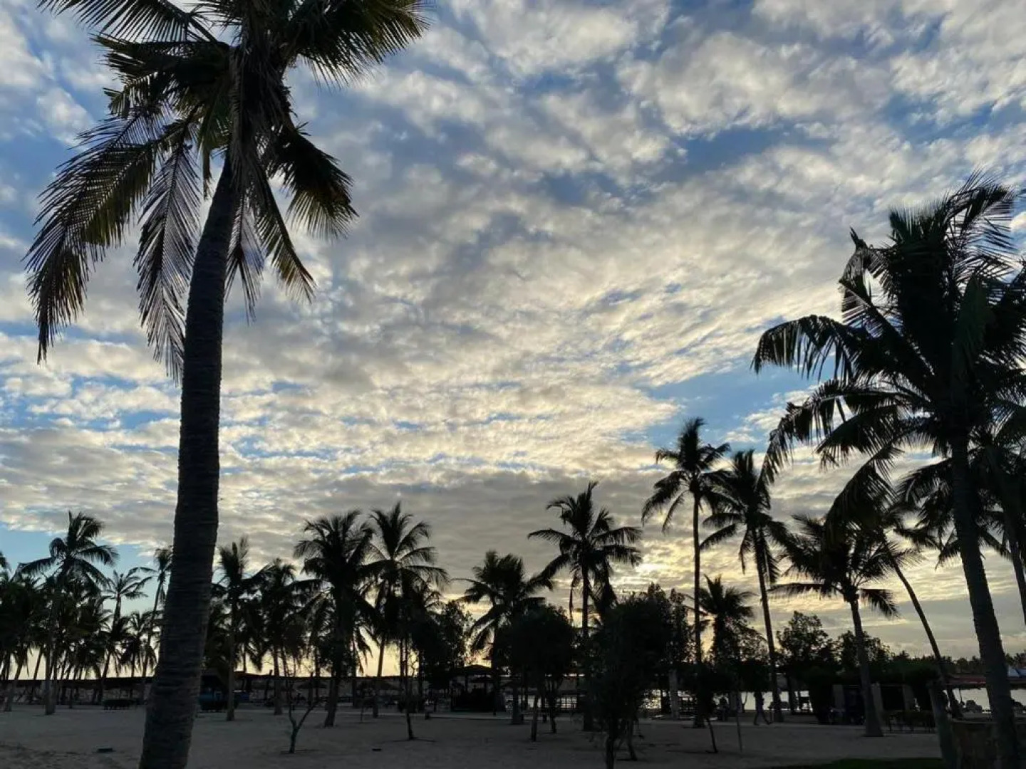 Purple Lily Studio Hawana Lagoons Salalah