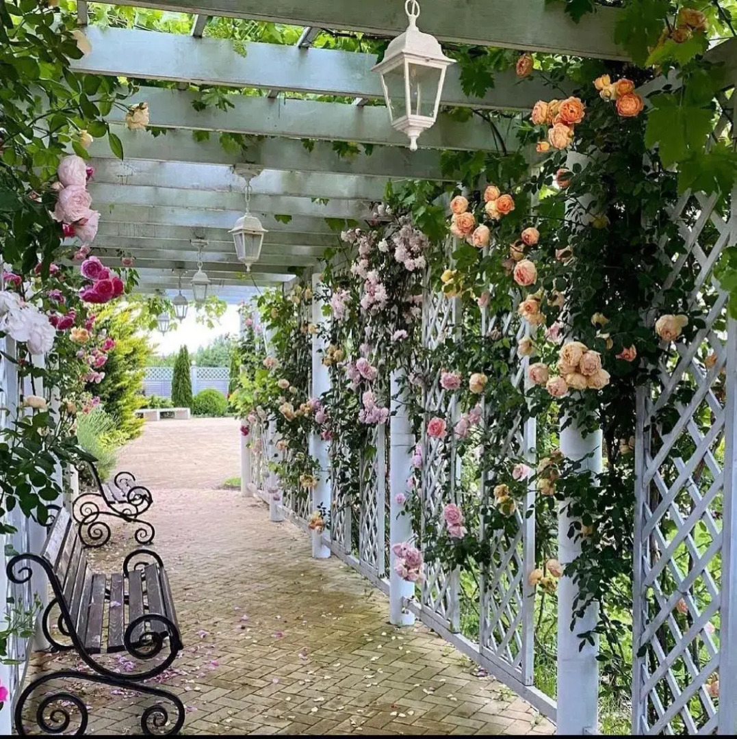 Азовская Ривьера