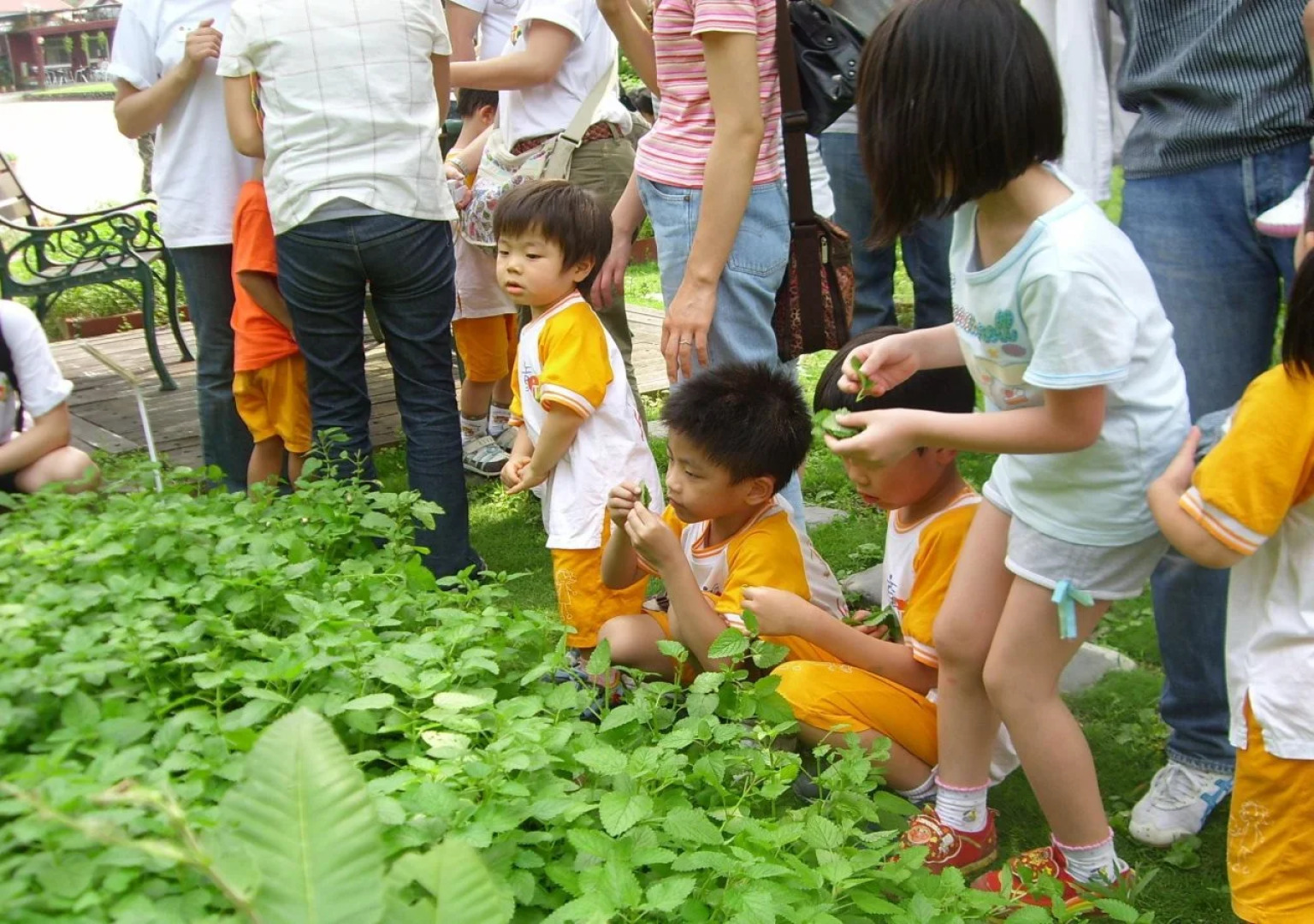 Meihua Lake Leisure Farm