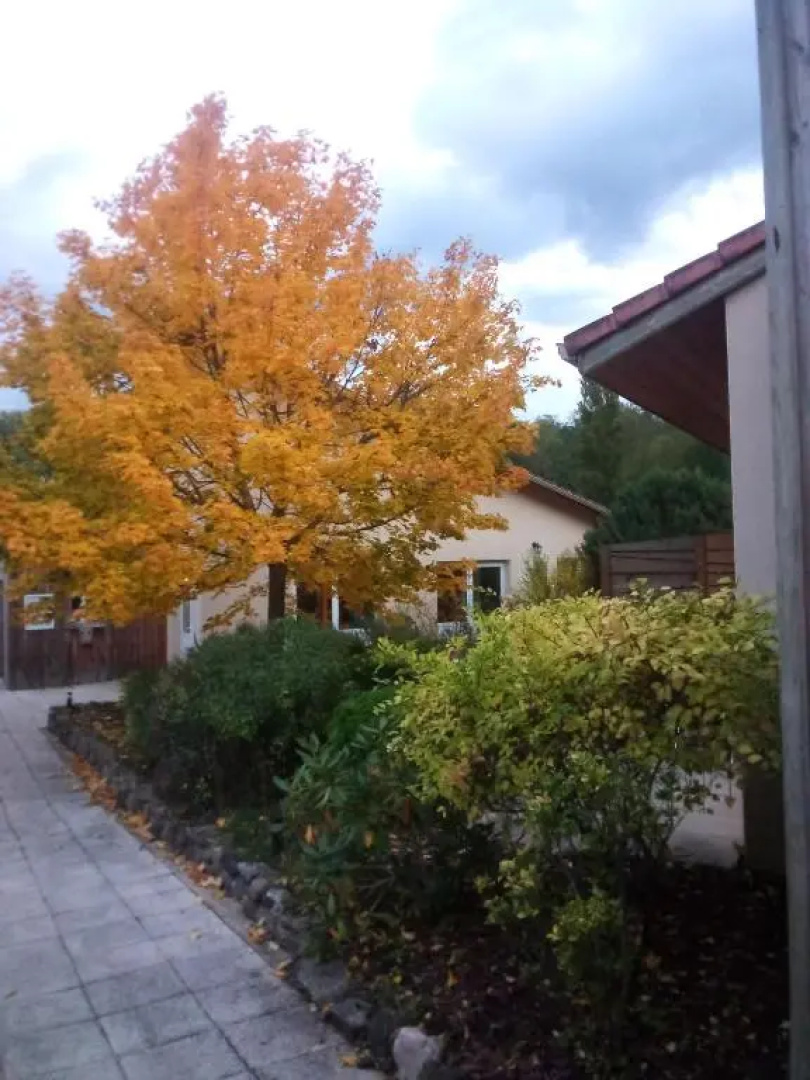Auberge de lIle damour
