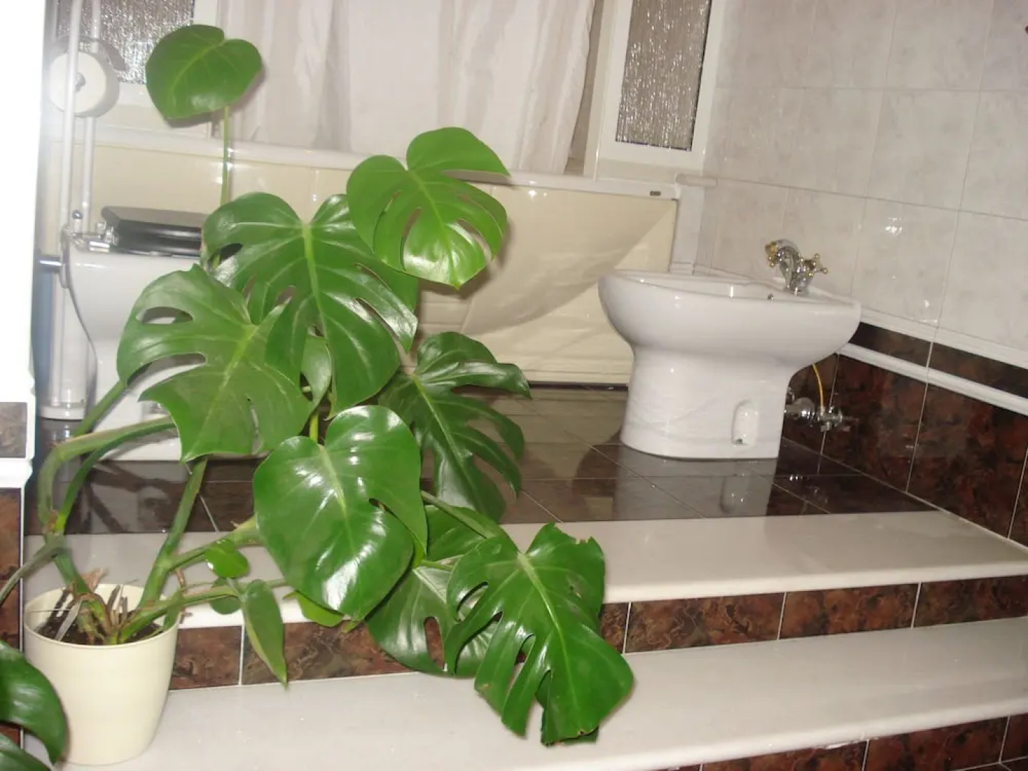 B&B La Mia Casa per Tutti