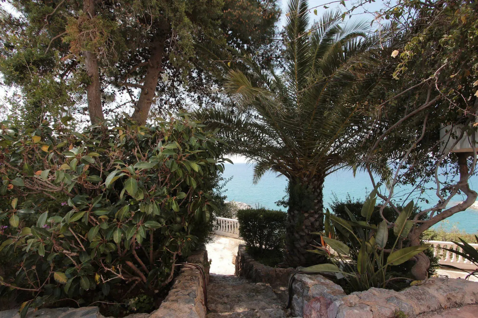 Apollon Apartments