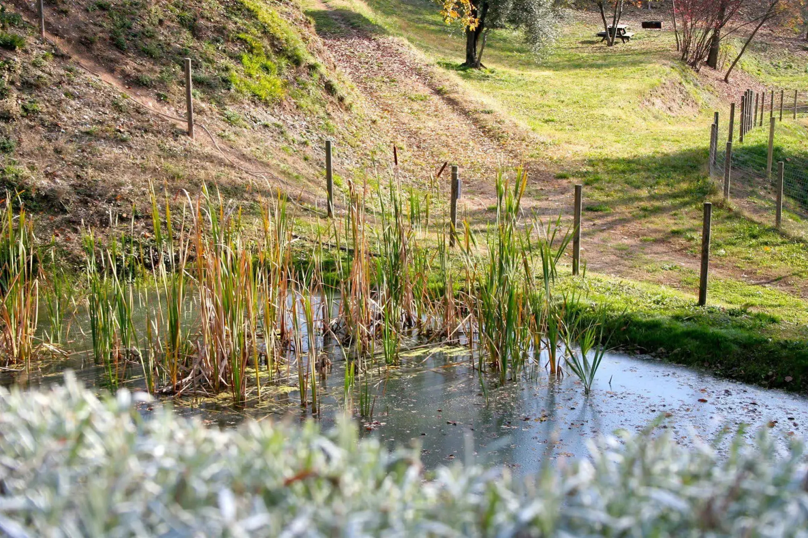 Premignaga Country House & Resort