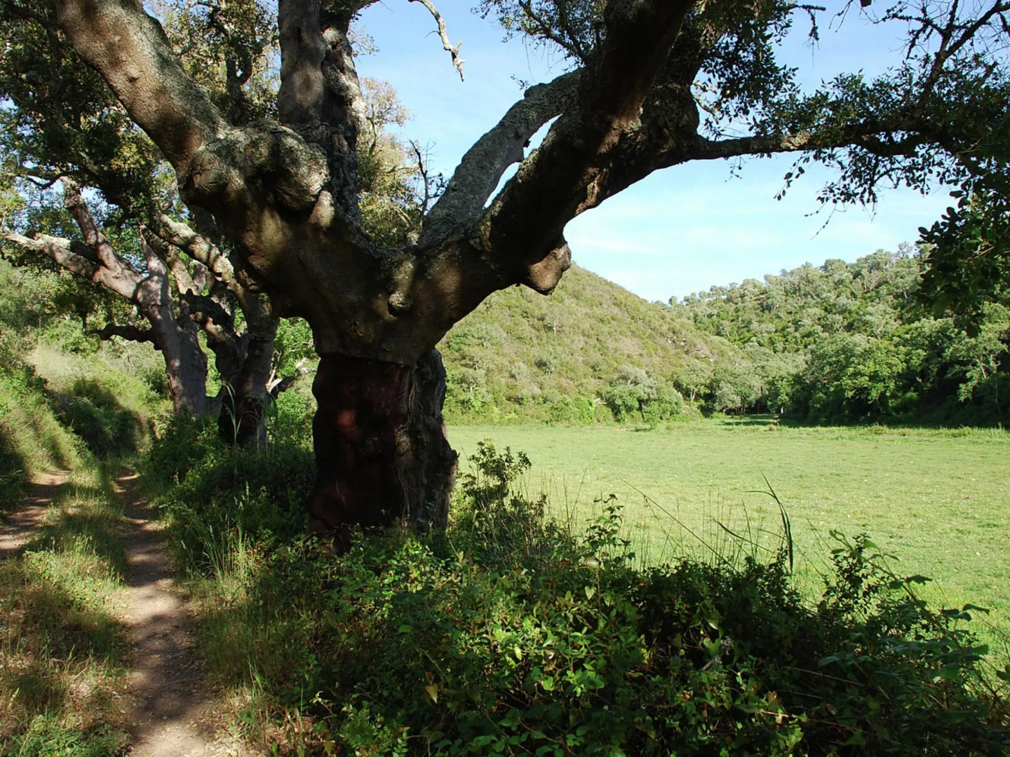 Cottage in Sdo Lums With Barbecue