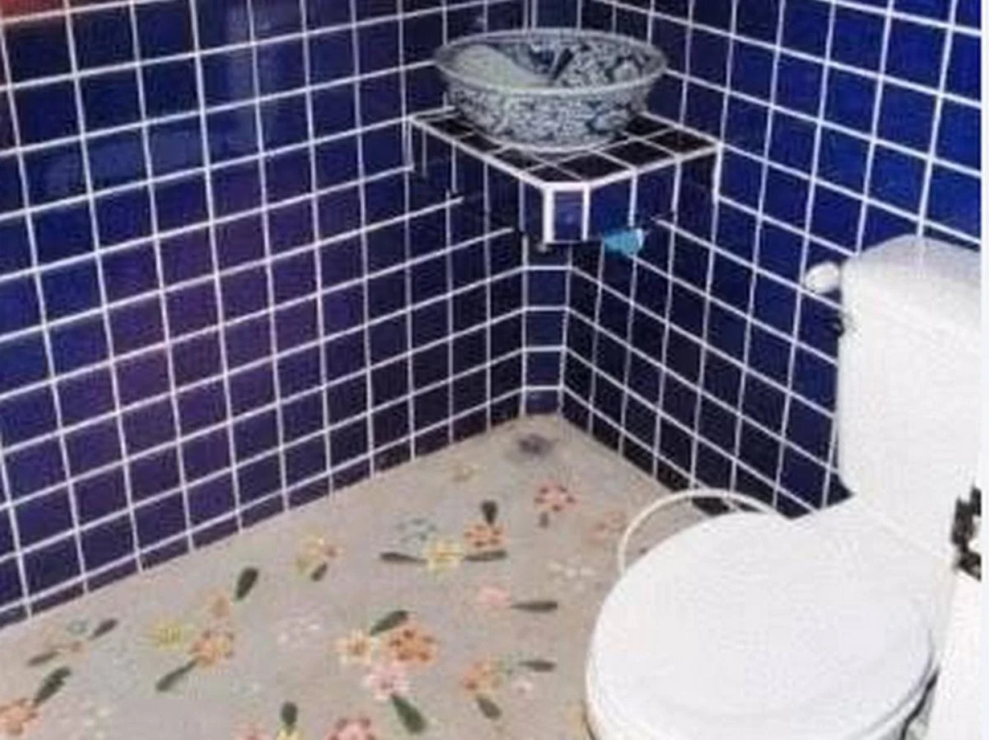 Orchid Hibiscus Guest House